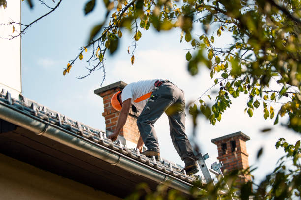 Best Roof Leak Repair  in Saunders Lake, OR